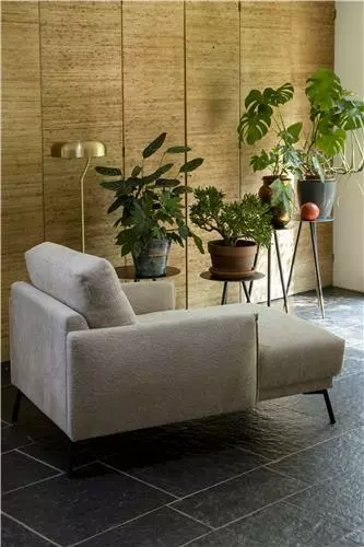 Seslonki Nojatuoli, Väri Beige 3 Seslonki Nojatuoli, Väri Beige - Image 3