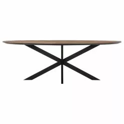 Timeless Shape Puinen Ovaali Ruokapöytä 200×100