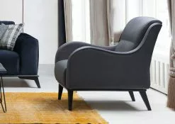 Nojatuoli Linento Furniture Lisa, Antrasiitti -Huonekalut myymälä LIFU569HLN1503 3