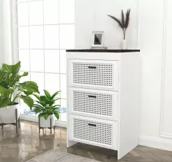 Lipasto Linento Furniture Done, Valkoinen/tummanruskea -Huonekalut myymälä LIFU804TRH3536 4