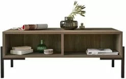 Sohvapöytä Linento Furniture NE2, Ruskea -Huonekalut myymälä LIFU956LCS1211 5